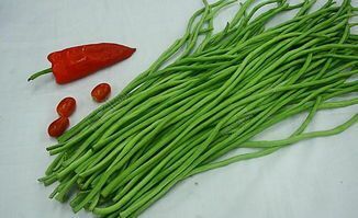 南县长豇豆  供应鲜长豆角架豆角