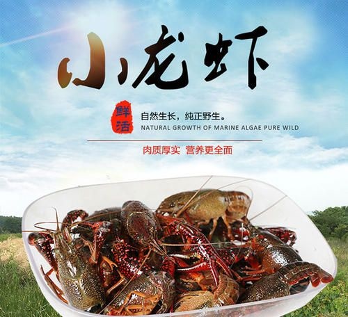 公安县 绿色清甜小龙虾