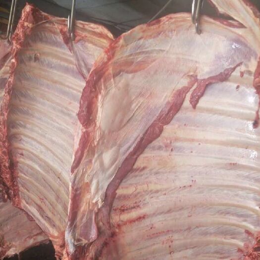 阳信县牛肋排 多肉牛排骨
