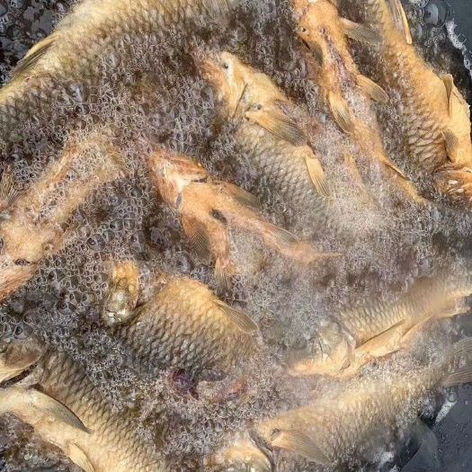 石屏县公鱼 油淋柴火鱼