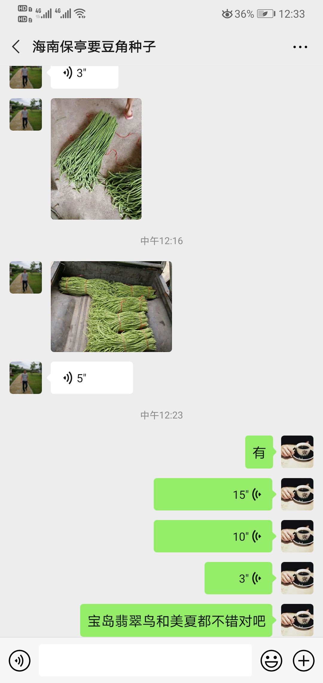 翠绿色耐热无鼠尾美夏豇豆种子厚肉条长夏季种丰产豆角种子