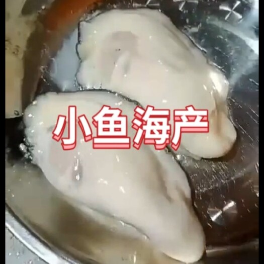 湛江湛江牡蛎 正宗官渡特大生蚝皇8-9两/个，肉质饱满，天然海养