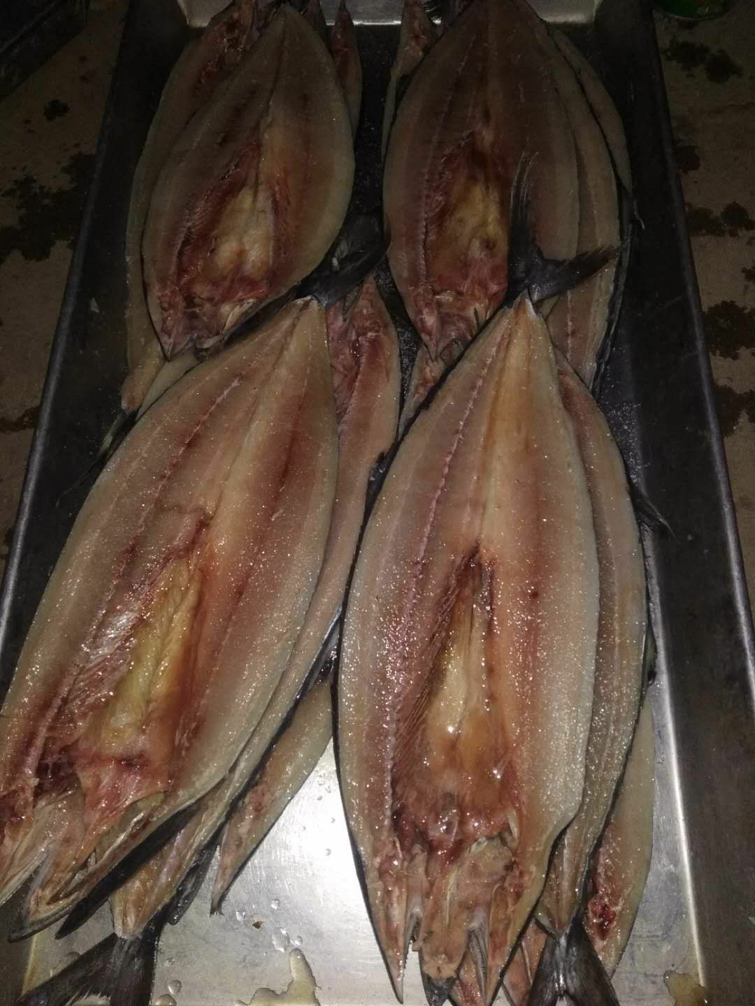  淡干无盐鲅鱼干马鲛鱼干燕尾鲅鱼干