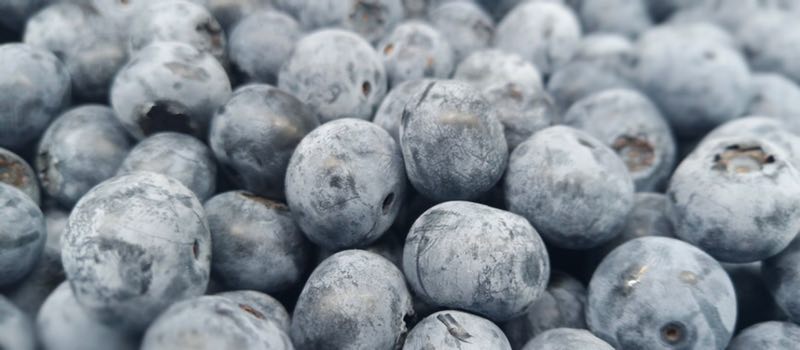 南京冻蓝莓  厂家直销绿色天然无公害蓝莓