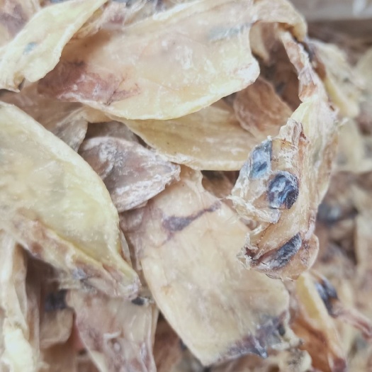 仙游县小鱿鱼干
