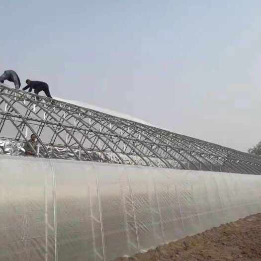 泊头市蔬菜大棚  双模骨架，结实耐用