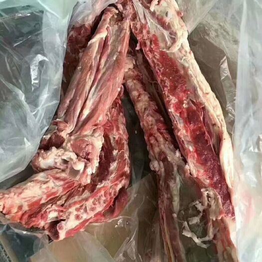 献县羊蝎子  大羊脊骨