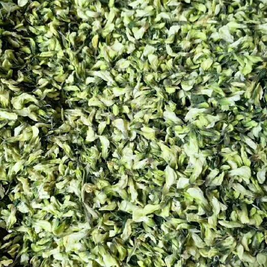 郑州槐花干 6-12个月