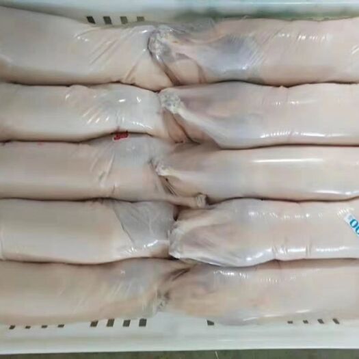 滨州 一级白条鸭