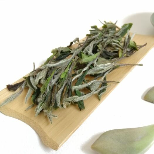 福鼎市白牡丹茶  2020福鼎白茶明前白牡丹散500g包邮