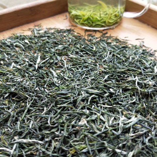 恩施市明前茶春茶上市绿茶