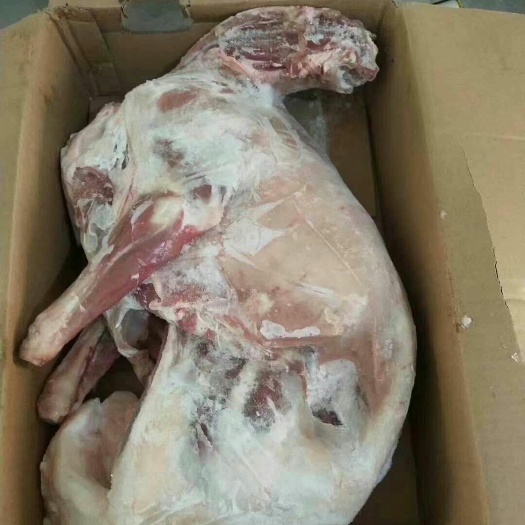 滨州 烤全羊