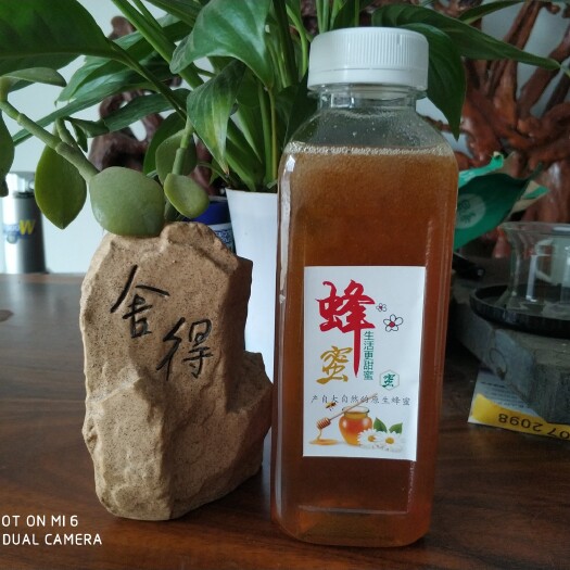 灵山县 2020新采天然农家荔枝蜜