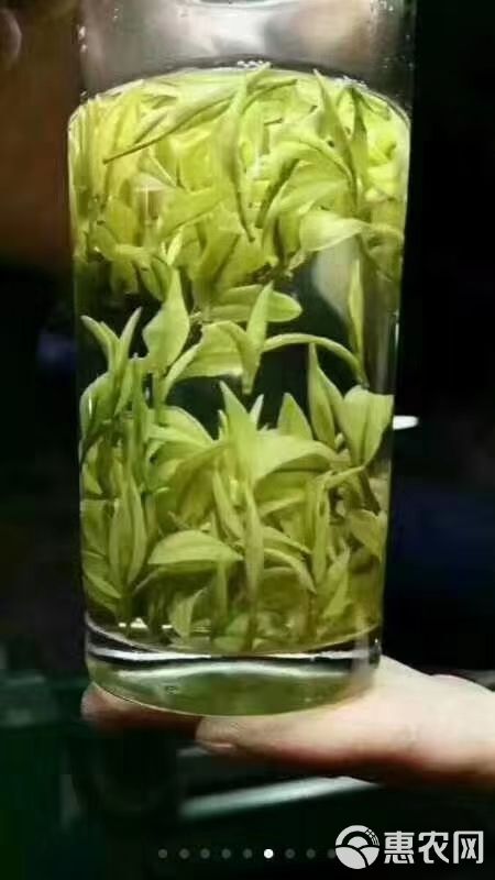 银毫茶  绿茶硒茶黄金芽茶叶芽茶春茶明前茶