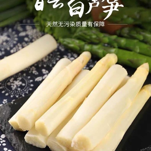 曹县 山东菏泽曹县白芦笋
