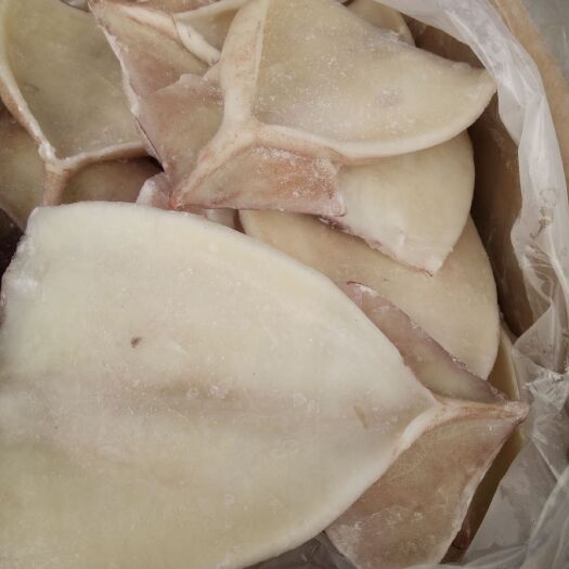 成都冷冻鱿鱼 火锅鱿鱼片