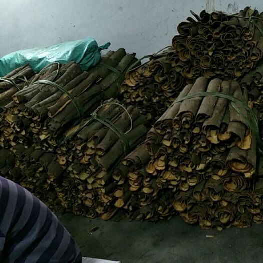 广宁县肉桂 大量湿桂皮