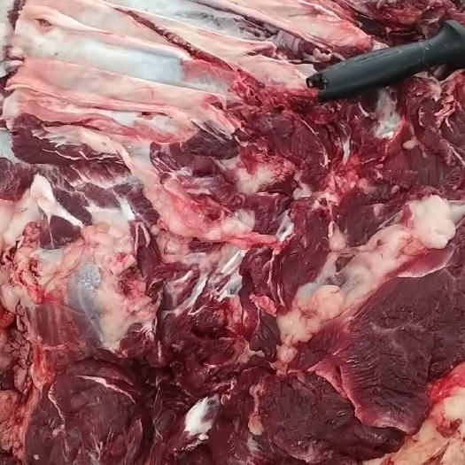银川宁夏散养小黄牛，新鲜黄牛肉，肉质鲜嫩，品质保证