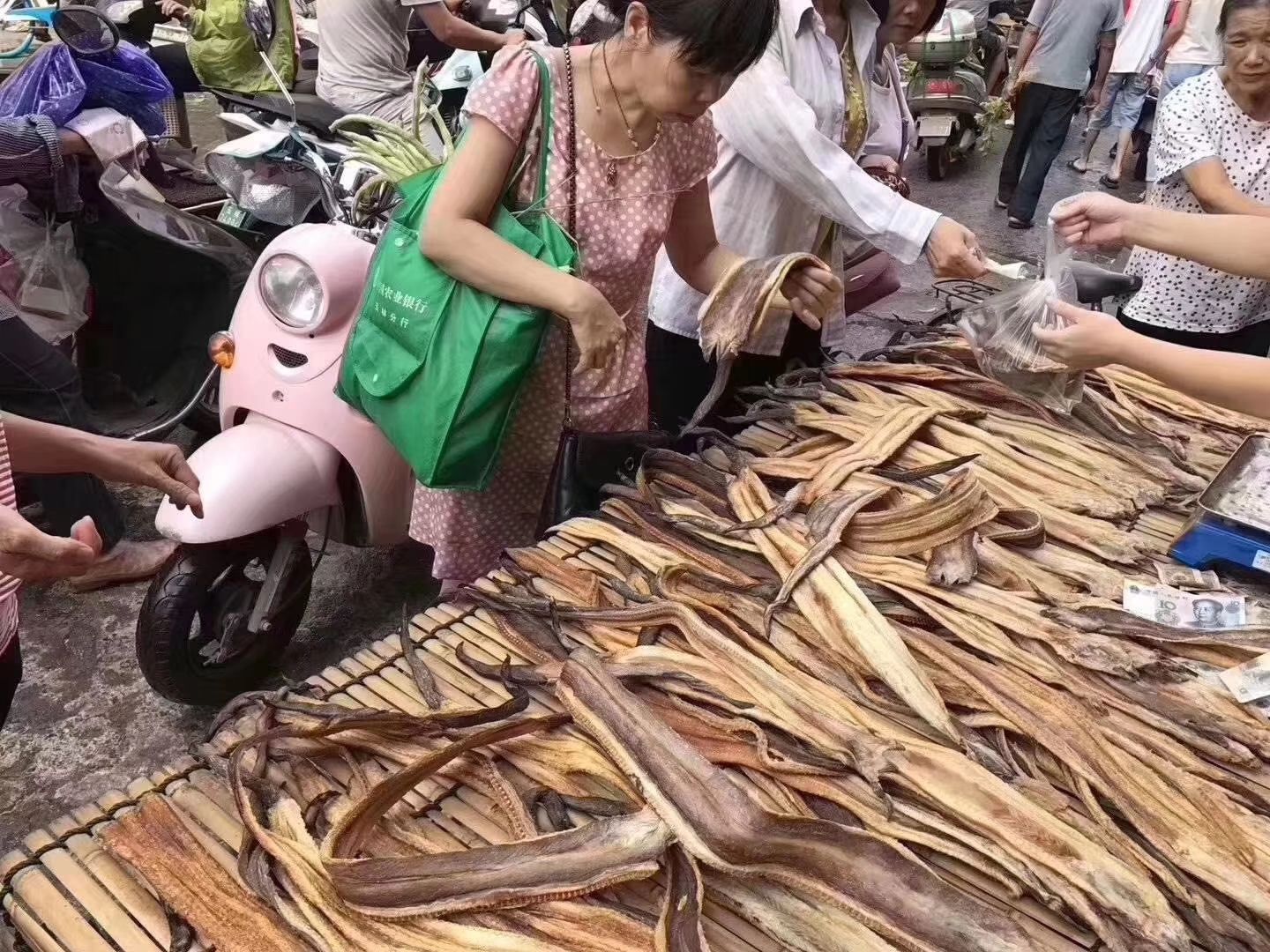 六角恐龙鱼 龙鱼