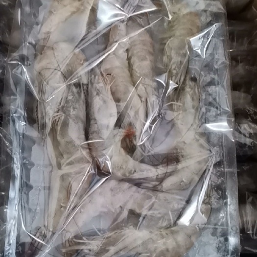 郑州中国对虾 十板虾质量非常好。欢迎订购。
