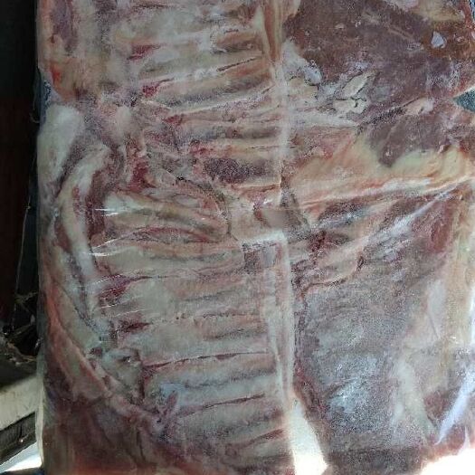 哈尔滨 10斤羊排肉，纯干无水
