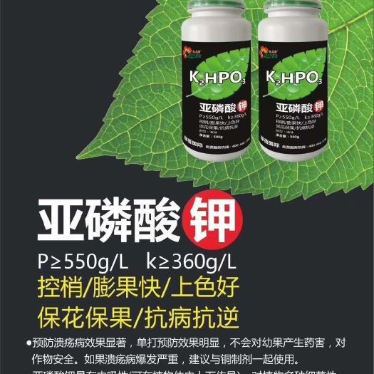 扶沟县 亚磷酸钾叶面肥，控梢膨果快，上色好，保花保果抗病抗逆