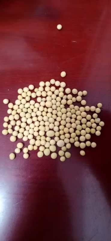 富锦市小粒黄豆 没上化肥的小粒豆