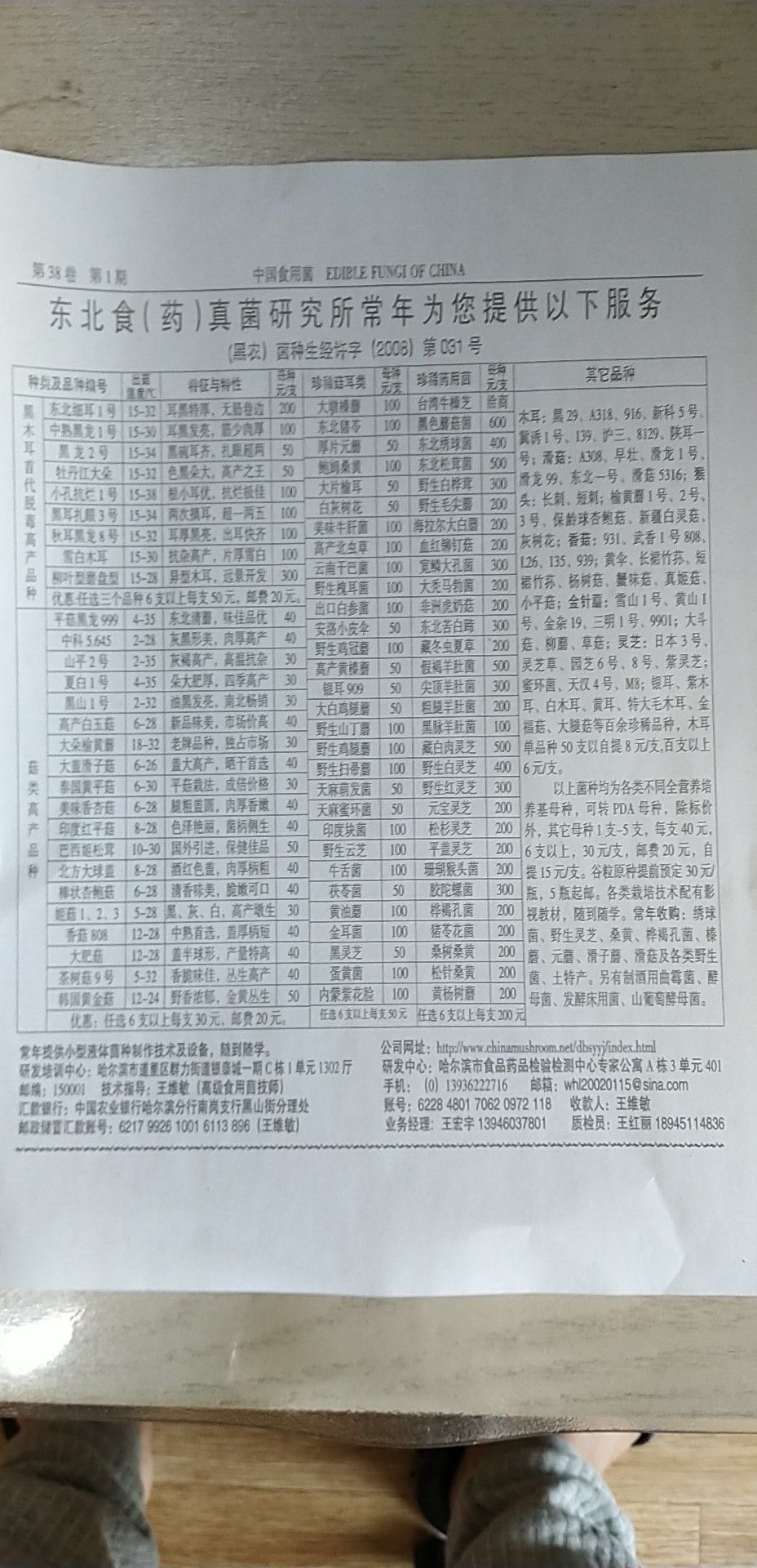 绣球菌菌种母种出售，食用菌一级菌试管菌，量大需要预约