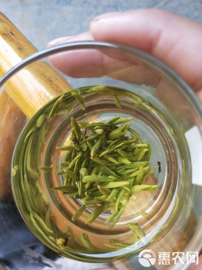 银毫茶  绿茶硒茶黄金芽茶叶芽茶春茶明前茶