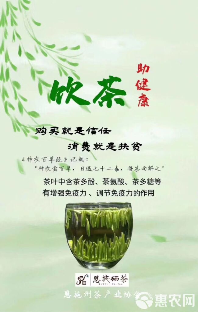 银毫茶  绿茶硒茶黄金芽茶叶芽茶春茶明前茶