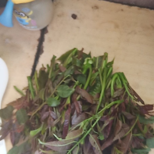 恭城县恭城柿饼 恭城油茶喝一口爽，精神抖擞，喝上三碗，可以一天潇洒在外