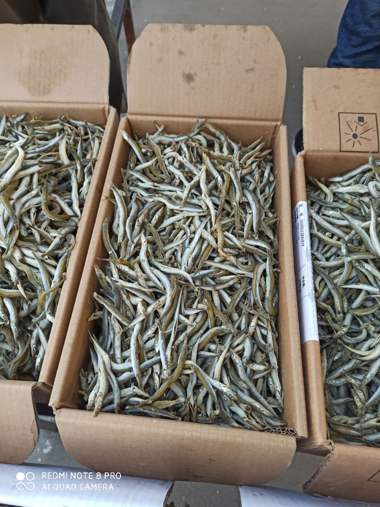 小银鱼  条整，口感好盐份低，干度好