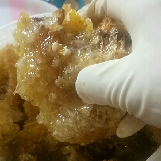 绿春县 中越边境大山百花蜂蜜