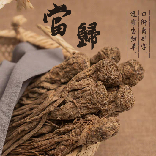 岷县 甘肃岷县无硫当归自家种植产地直销新货