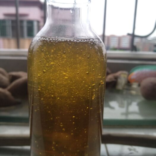 高州市百花蜜 父亲自然养的土蜂！