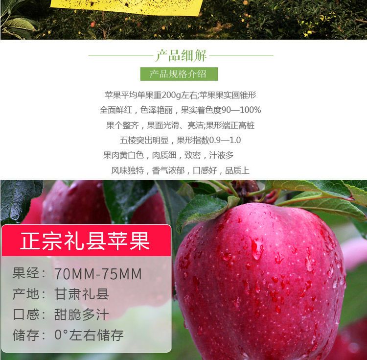  甘肃礼县花牛苹果新鲜采摘当季水果宝宝休闲辅食整箱包邮批