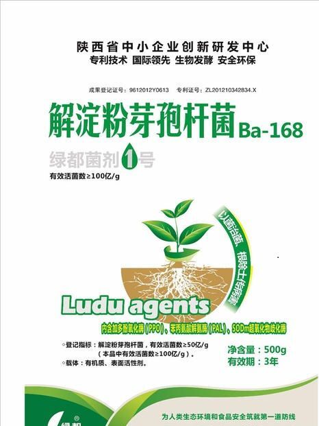 咸阳水产用芽孢菌种 绿都菌剂1号
