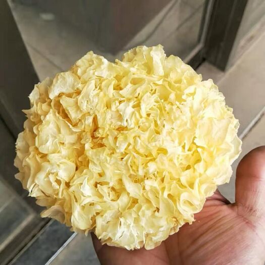 古田县古田雪耳白木耳银耳特级 糯耳 木银耳金耳干货正宗