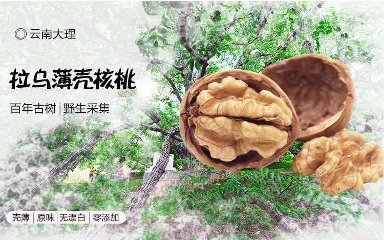 沧县 2020年核桃薄皮新货薄壳纸皮 云南核桃干果坚果散装