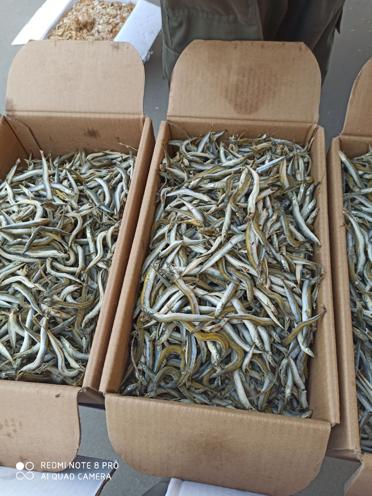 小银鱼  条整，口感好盐份低，干度好