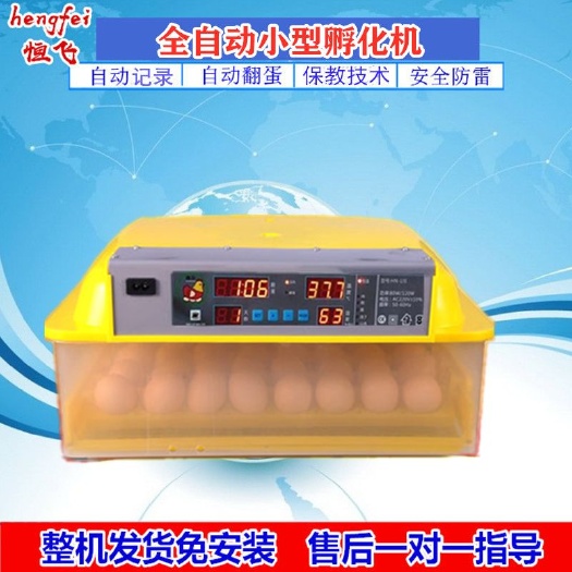 德州养殖孵化机  60型智能家用小型孵化机多功能鸡鸭鹅孵化箱