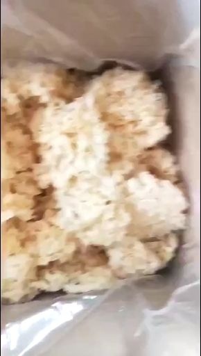 古田县 白木耳银耳特级干货古田新鲜天然雪耳糯耳无根椴木土特产