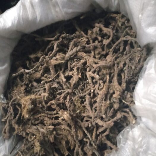 芦山县药用石菖蒲 天然生长药材石菖蒲干货、鲜货、种苗