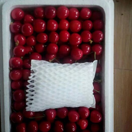 泰安山东樱桃，联系我代办代发