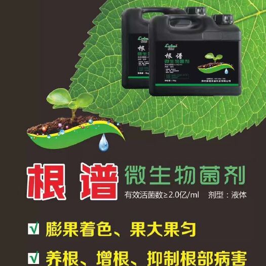 扶沟县复合微生物菌剂  绿蓓微生物菌剂生根壮根肥液体肥控制根部病害