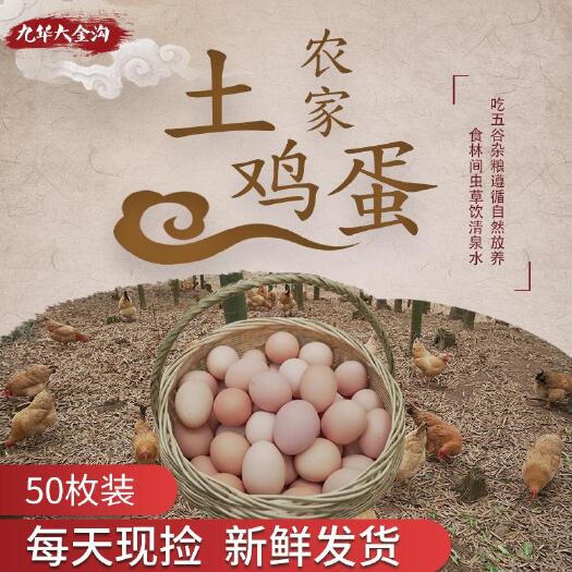 农家林下散养土鸡蛋 现捡现发 新鲜干净 量大优惠长期合作