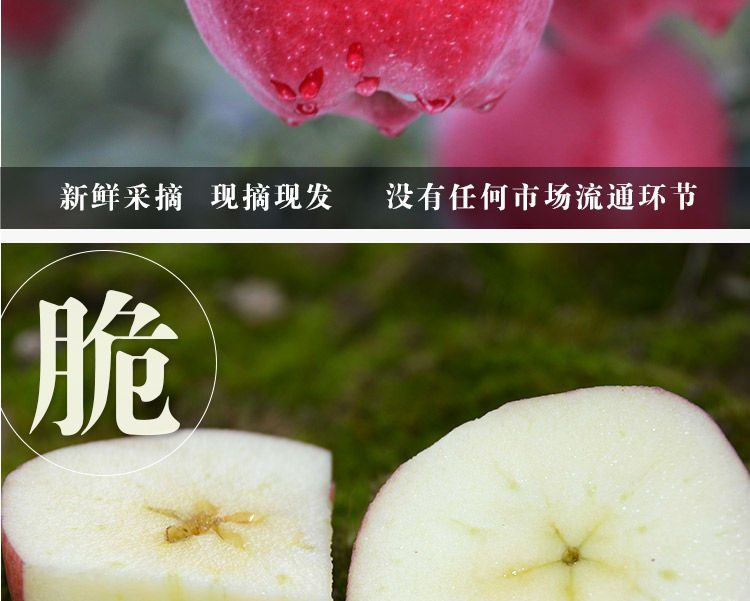  甘肃礼县花牛苹果新鲜采摘当季水果宝宝休闲辅食整箱包邮批