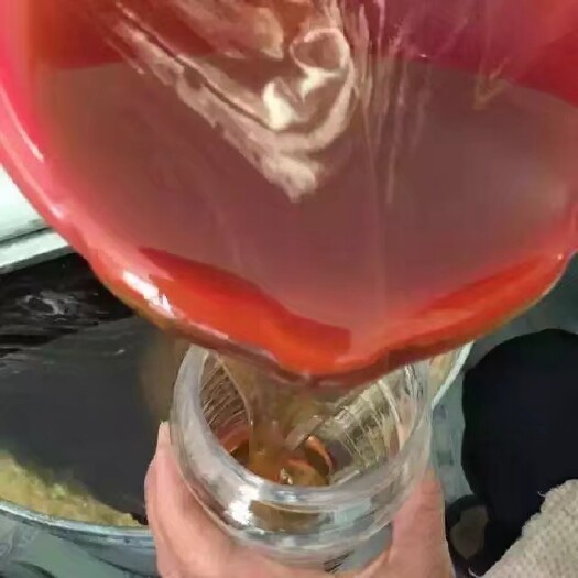泽普县 新疆正宗红枣蜂蜜