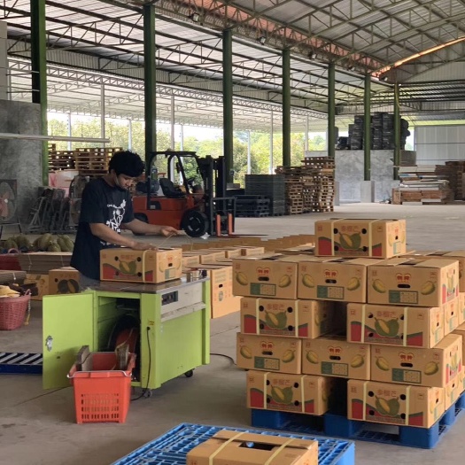 昆明泰国金枕榴莲 2 - 3公斤