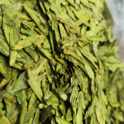 新昌县龙井茶 明前有机龙井